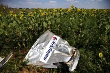 ##MH-17_Sonnenblumen