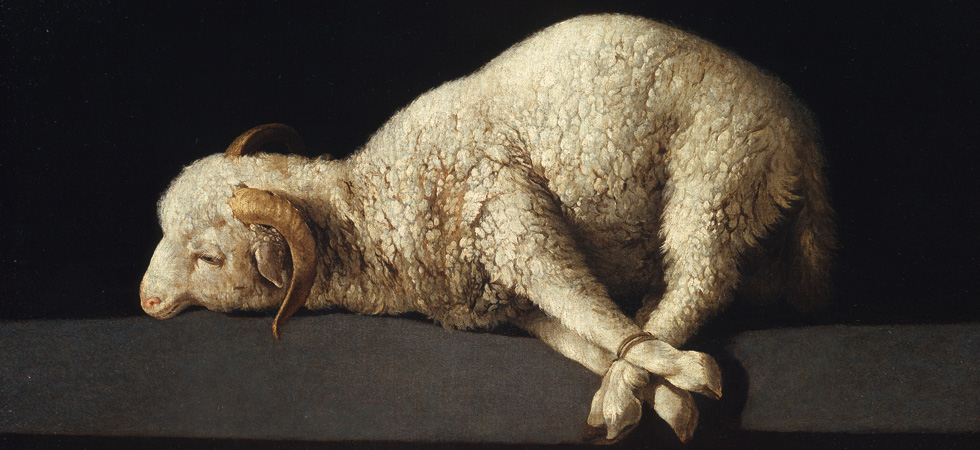 WEST_Mausfeld_Warum schweigen die Lämmer?_11.indd